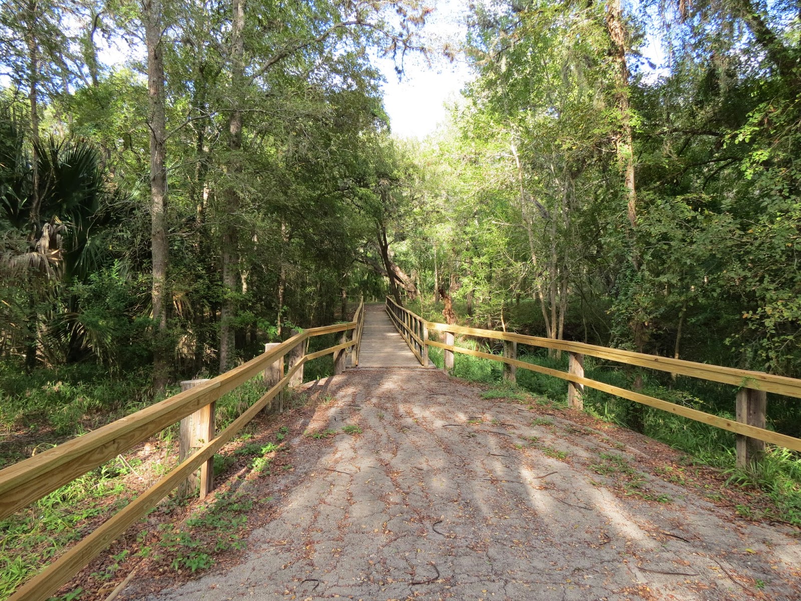 Birding Across Texas Lion's / Shelley Park (Refugio)