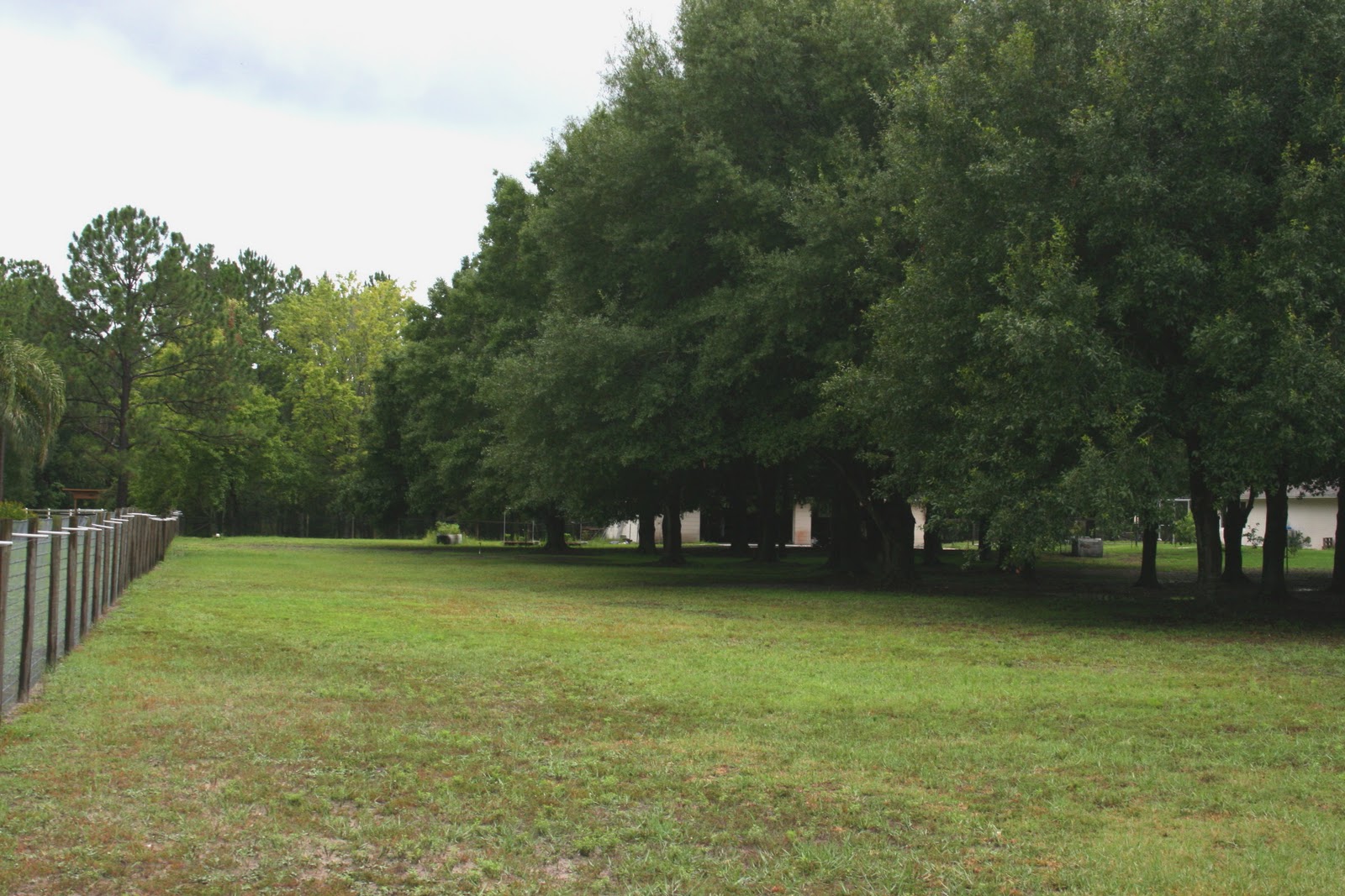 Florida Hobby Farm for Sale Picturesque Land