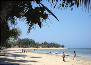 If you to whale watch, Ifaty beach in July and August is the best time to visit Madagascar. If you to whale watch, Ifaty beach in July and August is the best time to visit Madagascar.