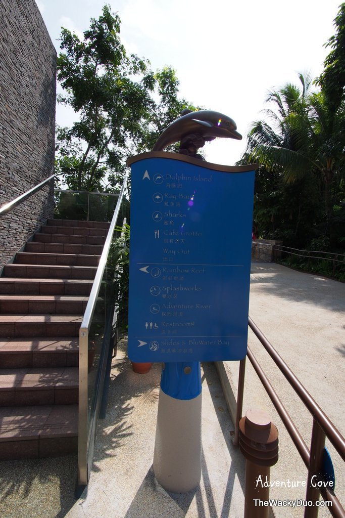 Splash splash Adventure Cove Waterpark Singapore