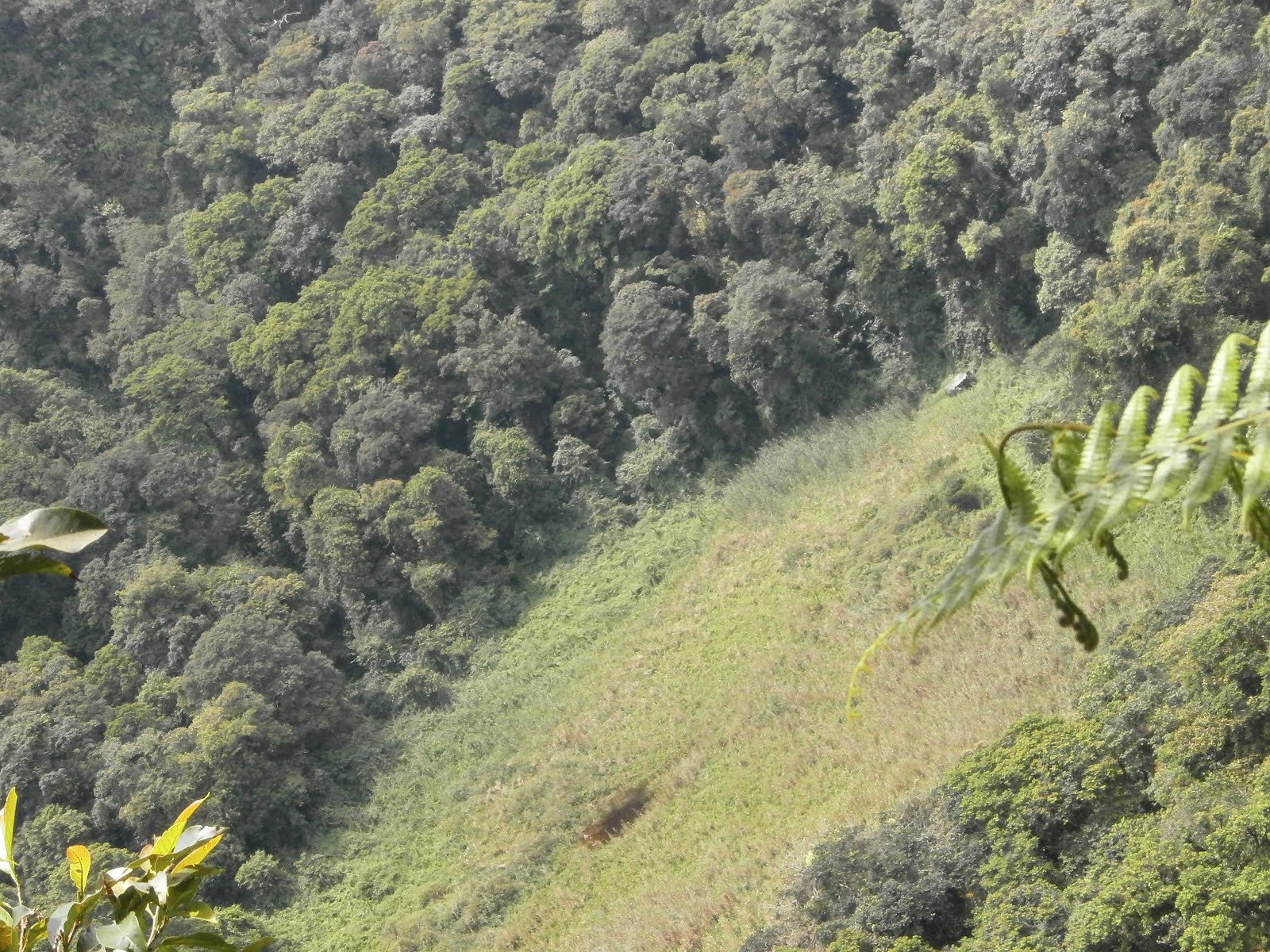 catatan: Pendakian Ke Gunung Rajabasa