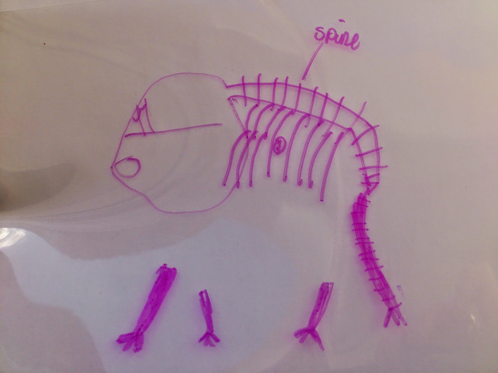 All Write How to give an elephant an Xray