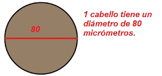 Equivalencia del micrómetro