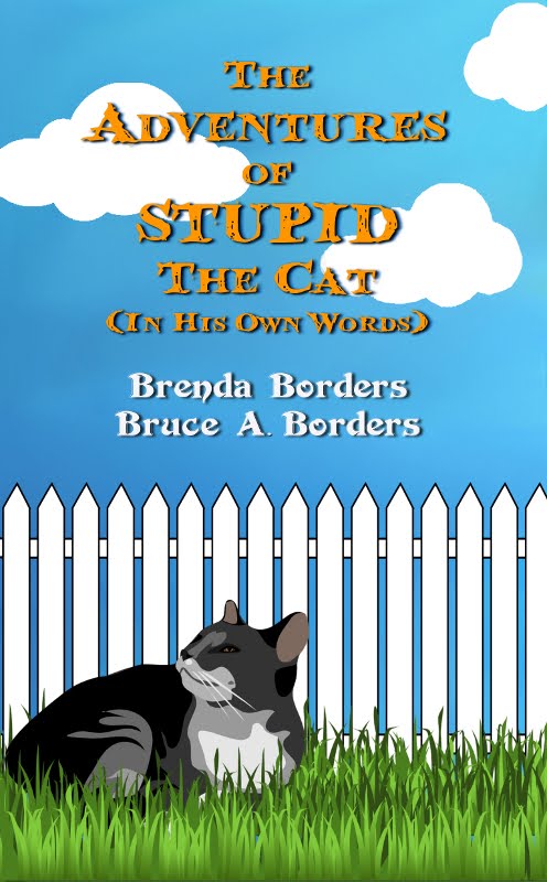 The Adventures Of Stupid The Cat is on Amazon, eBook and Paperback