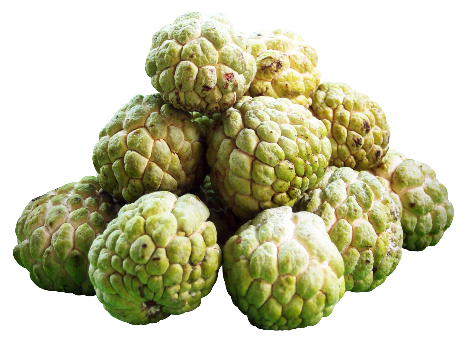 Fruits Good For Helth 10 Amazing Health Benefits Of Custard Apples (Sitaphal)
