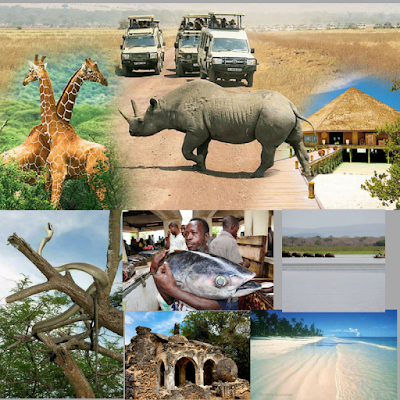 tourism development levy tanzania