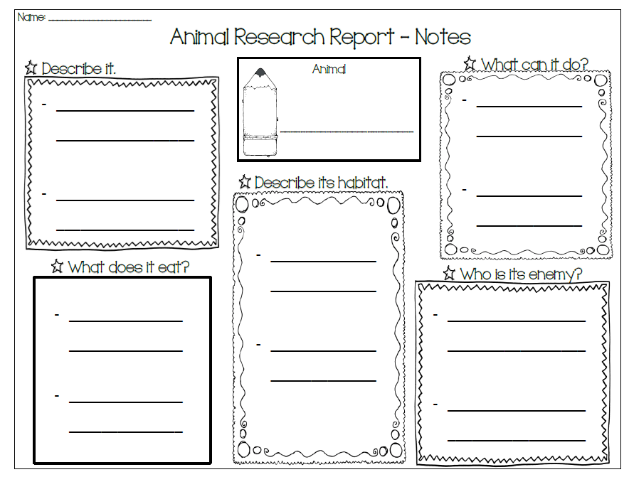 Animal Essay Graphic Organizer