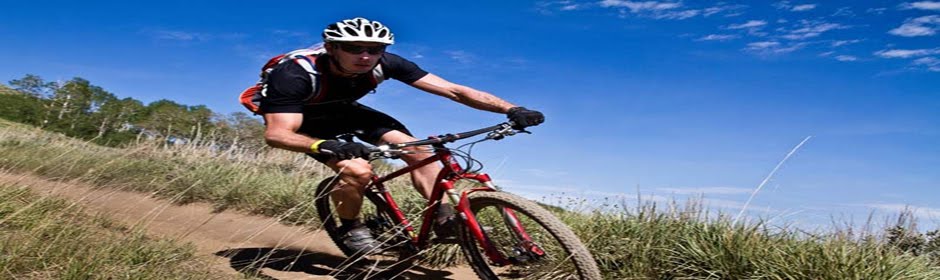 fuji touring bike 2019