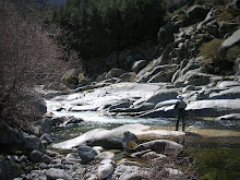 GARGANTA DE BARBELLIDO