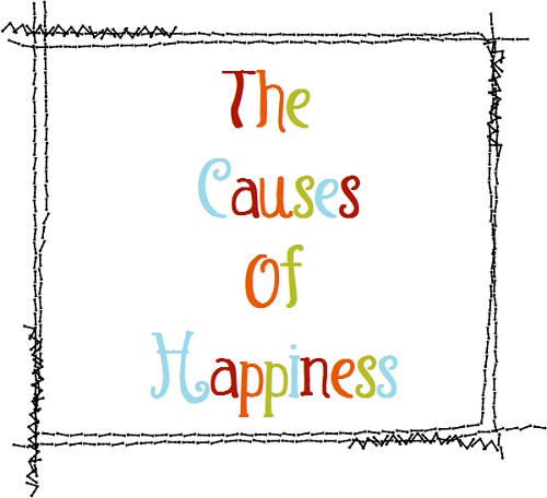 The Causes Of Happiness