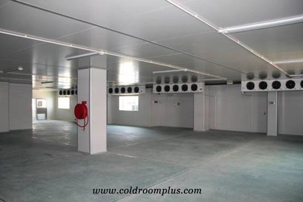 Onlykem Technology Co., Ltd.: Potato Cold Room Design and Installation
