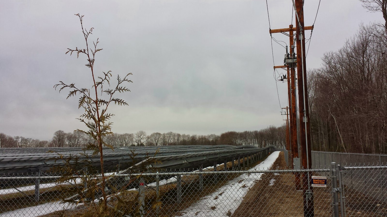 The new poles lined the solar farm