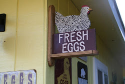 coop chicken pigging around
