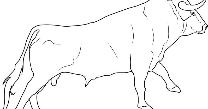 gambar mewarnai hewan serigala