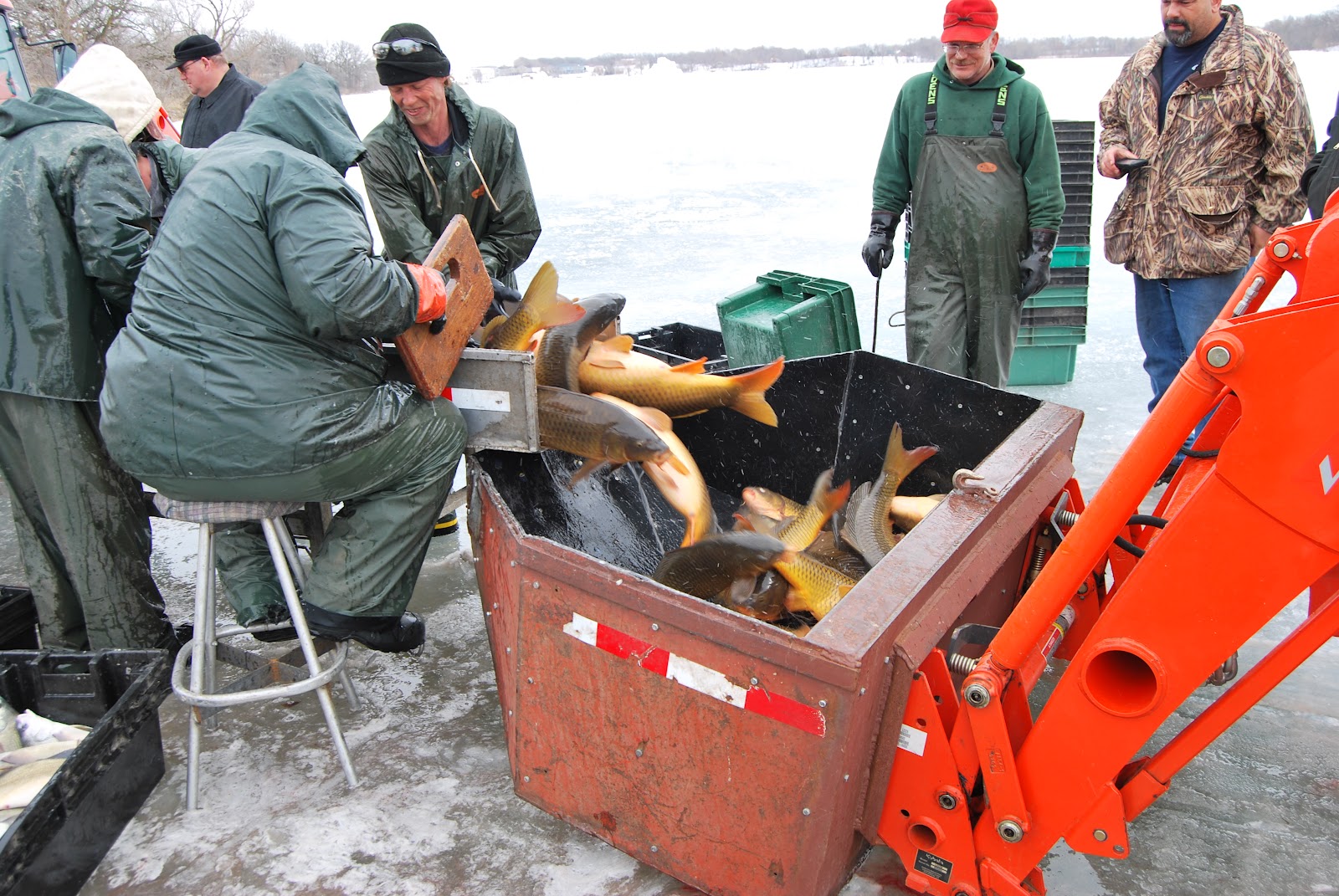 Brandon Mn History Center Stowe Lake cleaned of 50,000 pounds of rough