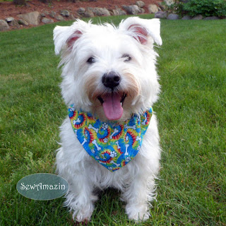  Tie Dye Doggie Bones Dog Bandana