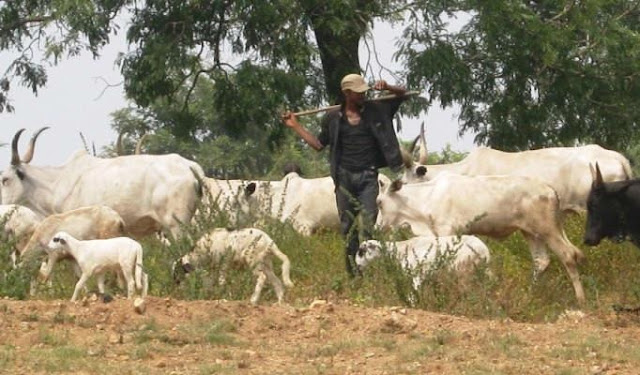 Dambazau: Boko Haram using herders/farmers crisis as cover to attack Nigerians