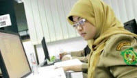 Remunerasi PNS Skema Baru