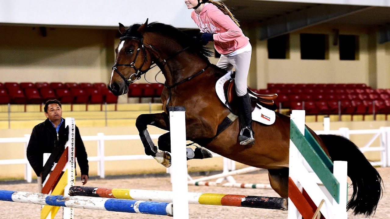 Equestrianism Horse Jumping Lessons Horse Choices