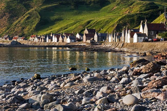 crovie.jpg