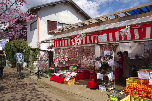 伊豆・河津櫻祭，