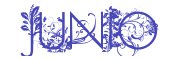 Junio Junio