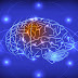 Scientists Create ‘Social Network’ of Brains to Share Thoughts