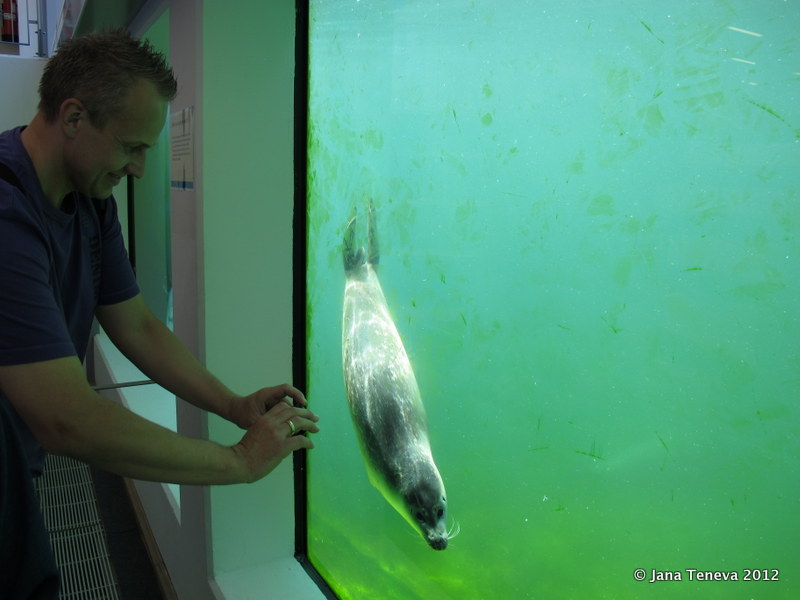 Jana around the world Hospital for baby seals in Norddeich