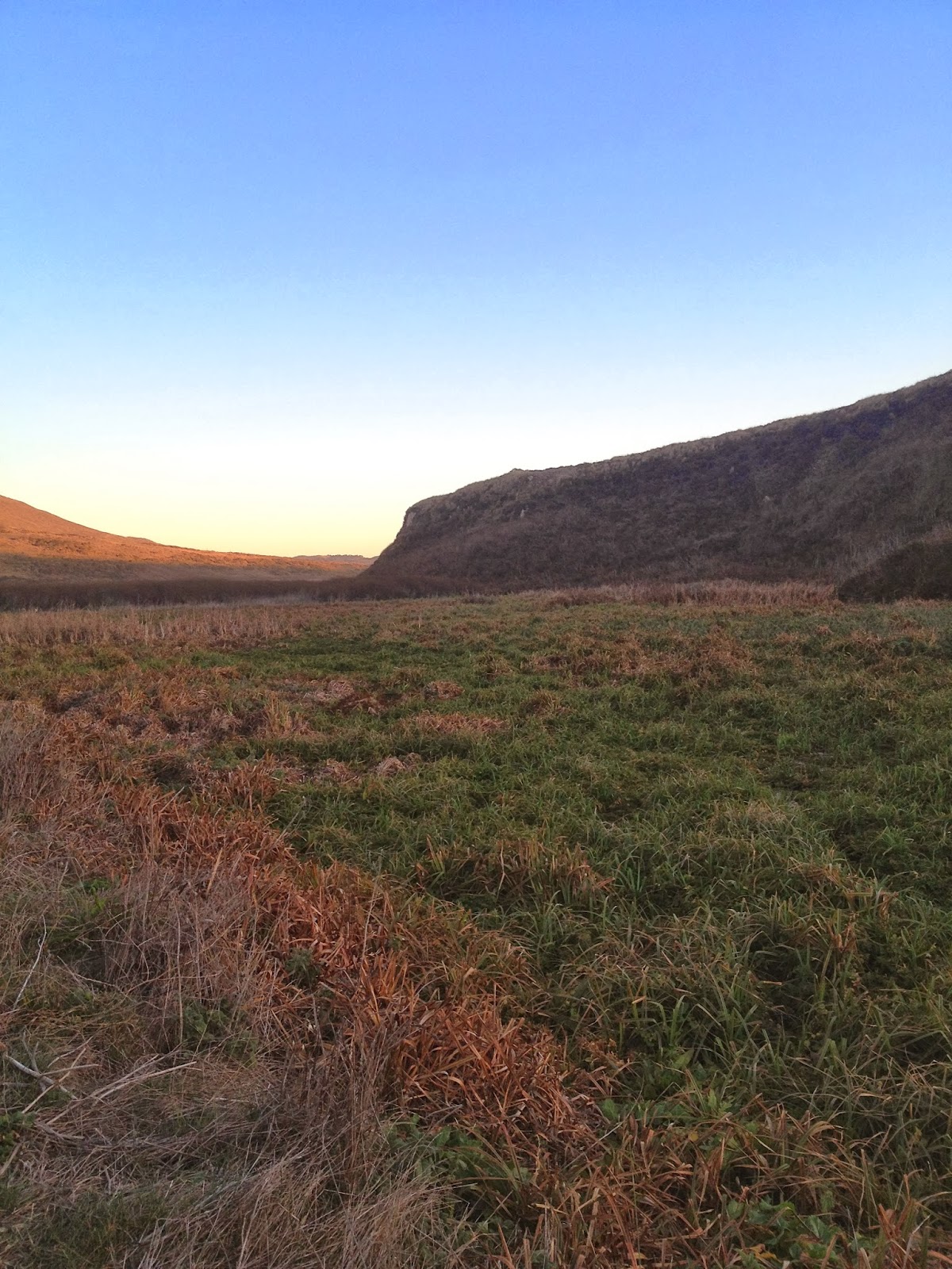 GOLDEN DREAMLAND: Favorite Beach: Kehoe