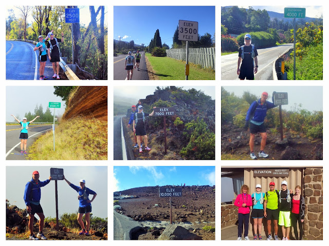 The Trail Effect Blog - Elevation markers up Haleakala