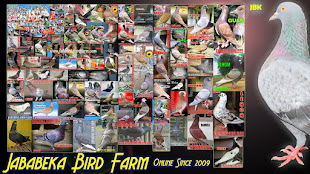 Jababeka Bird Farm