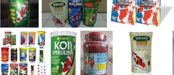 Makanan Koi untuk Warna Alami dan Pelet Paling Bagus