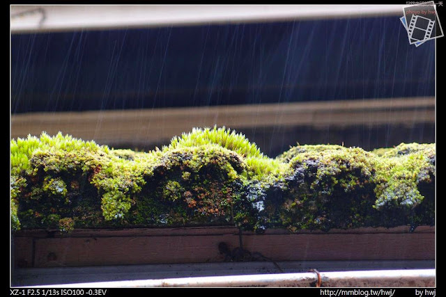 2013-04-12 基隆二日遊(4)平溪線最後一站-菁桐車站__整個屋頂都是青苔，表示這邊一年四季都很常下雨？                                            