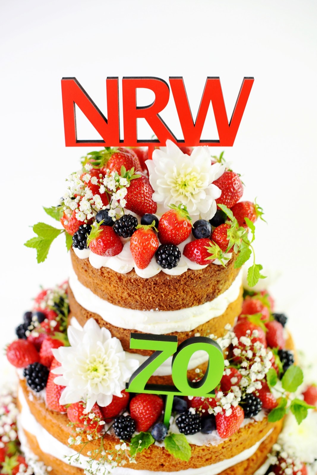 Hamburger Wahlbeobachter Wenn Die Regierung Bloggt Blogs In