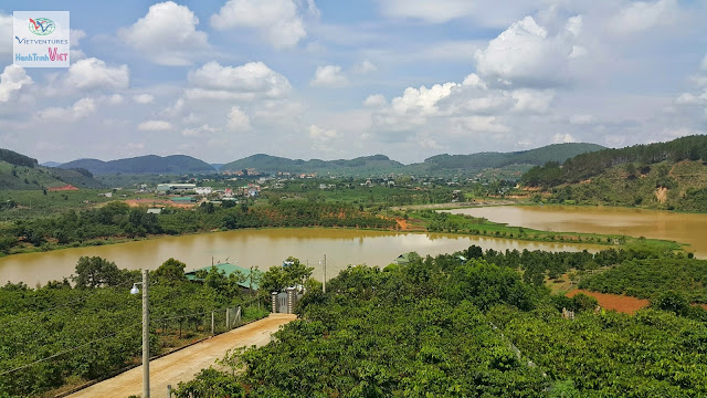 Tham quan trang trại Cà Phê ở Làng Tà Nùng, Đà Lạt