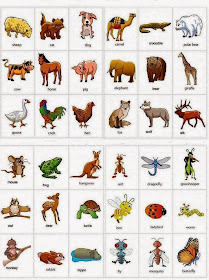 English Honori Garcia: Animals