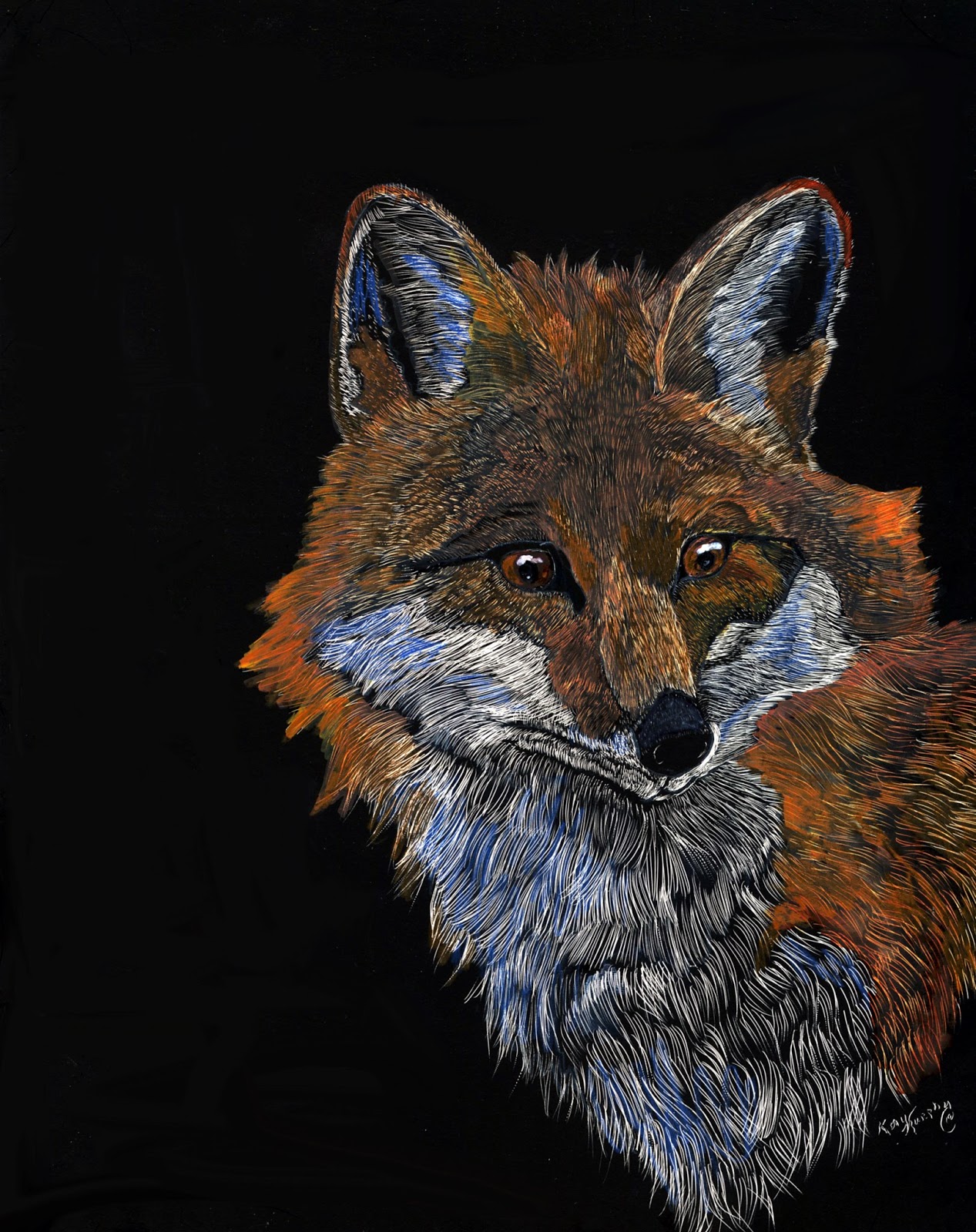 Kay Murphy's Studio Kay MurphyWallaceartist Red Fox scratchboard