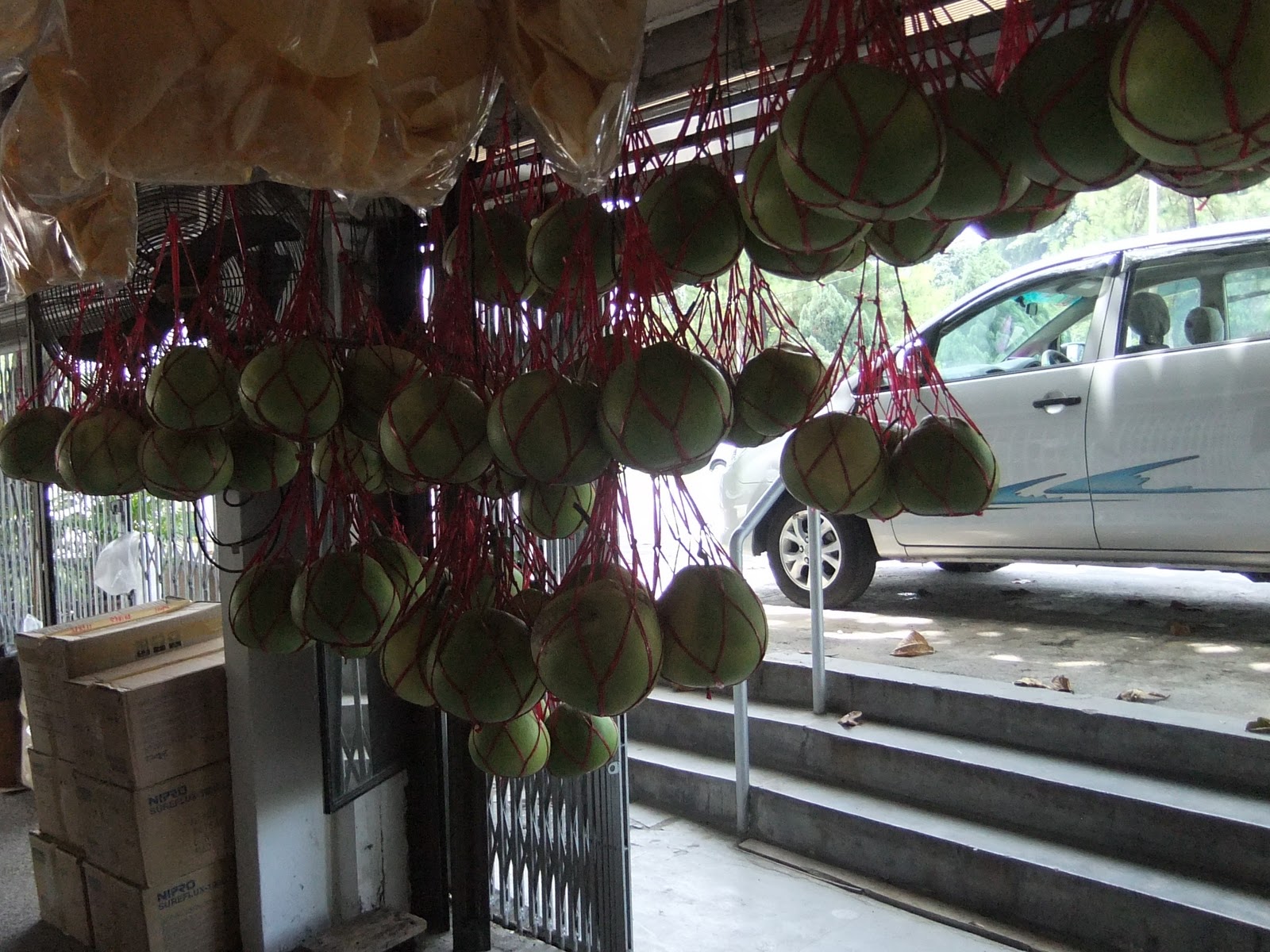 Lift You UP Blog Always there for You POMELO SHOP IN IPOH