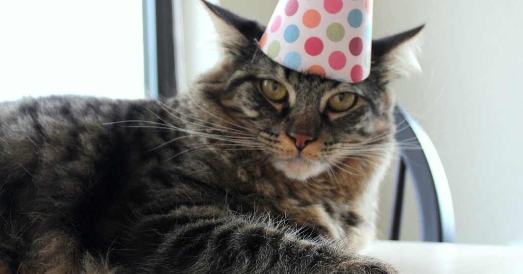 modern mapper: Happy Birthday Banks