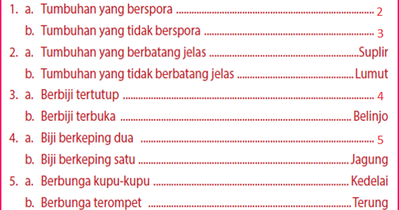 Kunci Determinasi Sederhana Tumbuhan Jagung Kunci Ujian