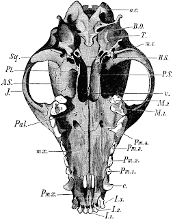 Central PA Living: September 2012