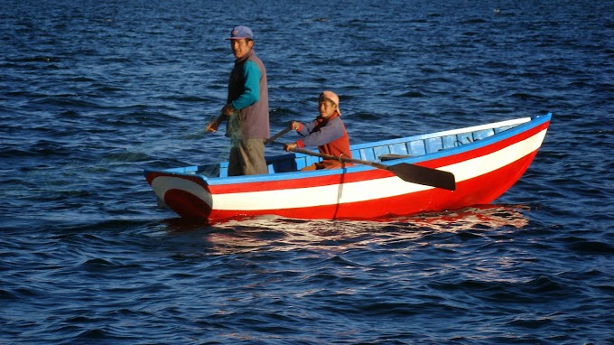 Pesca no controlada acaba con especies del Titicaca