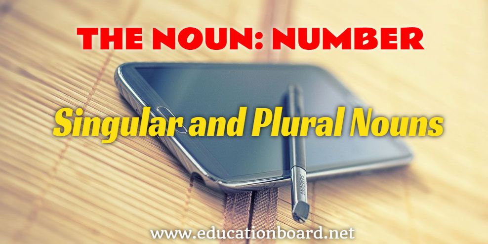 The Noun And Number Singular And Plural Nouns Education Board
