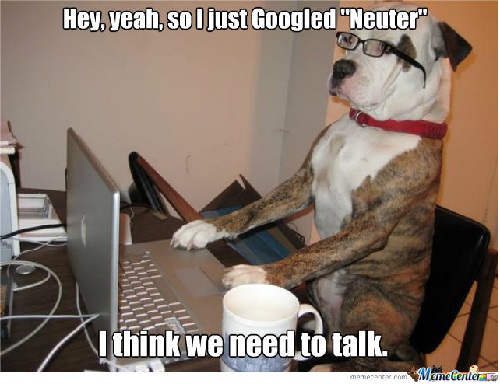 Speak Of The Devil A Day In The Life Of A Dog