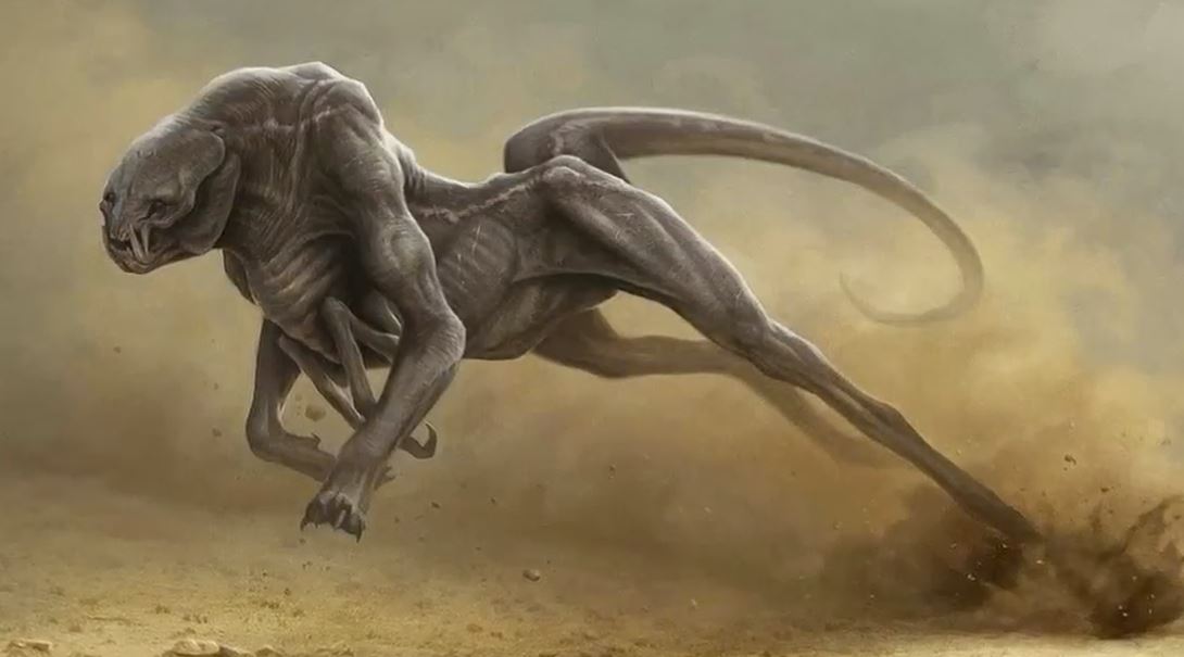 The Strange Creature And I Top 5 Mysterious Creatures Around The World