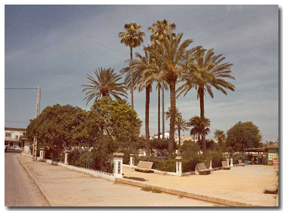 Jardines de la Pimienta, Ayer y Hoy