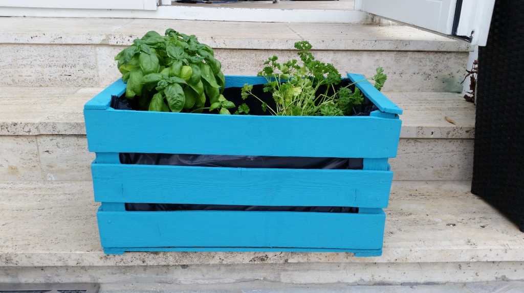 Günstig gärtnern Fotowettbewerb Günstig Gärtnern 2015 Die Gewinner