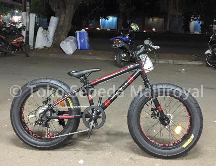 wimcycle fat bike