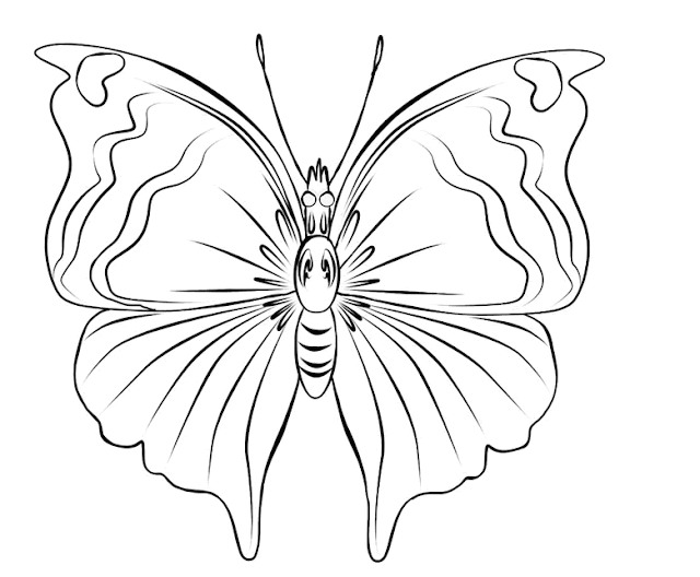 Butterfly Coloring Drawing Free wallpaper