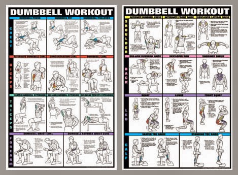 workout routines